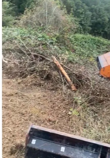 Scrub and overgrown land being cleared with an excavator